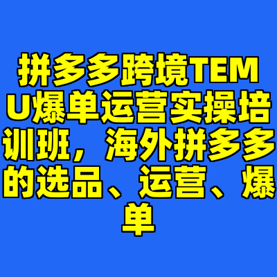 拼多多跨境TEMU爆单运营实操培训班，海外拼多多的选品、运营、爆单