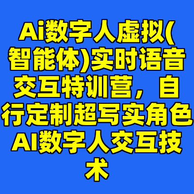 Ai数字人虚拟(智能体)实时语音交互特训营，​自行定制超写实角色AI数字人交互技术
