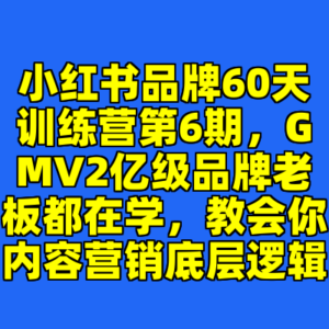 小红书品牌60天训练营第6期，GMV2亿级品牌老板都在学，教会你内容营销底层逻辑-cc资源站