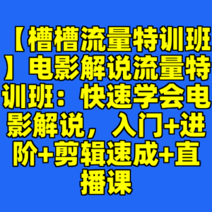 【槽槽流量特训班】电影解说流量特训班:快速学会电影解说,入门+进阶+剪辑速成+直播课-cc资源站
