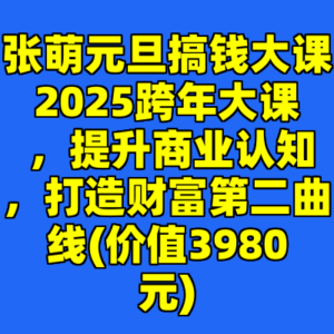 张萌元旦搞钱大课2025跨年大课 ，提升商业认知，打造财富第二曲线(价值3980元)-cc资源站