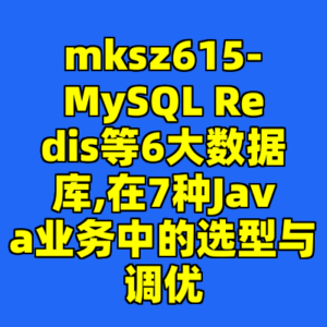 mksz615-MySQL Redis等6大数据库,在7种Java业务中的选型与调优-cc资源站