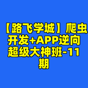 【路飞学城】爬虫开发+APP逆向超级大神班-11期-cc资源站