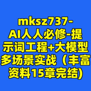 mksz737-AI人人必修-提示词工程+大模型多场景实战（丰富资料15章完结)-cc资源站