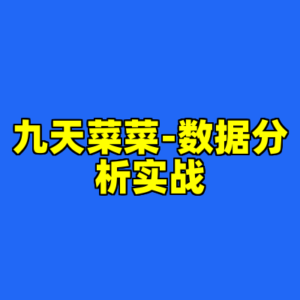 九天菜菜-数据分析实战-cc资源站