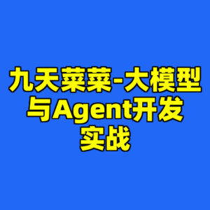 九天菜菜-大模型与Agent开发实战-cc资源站