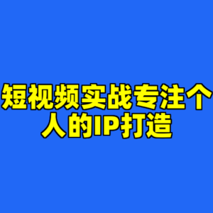 短视频实战专注个人的IP打造-cc资源站