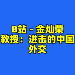 B站 - 金灿荣教授：进击的中国外交-cc资源站
