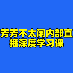 芳芳不太闲内部直播深度学习课-cc资源站