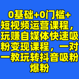0基础+0门槛+短视频运营课程，玩赚自媒体快速吸粉变现课程，一对一教玩转抖音吸粉爆粉-cc资源站