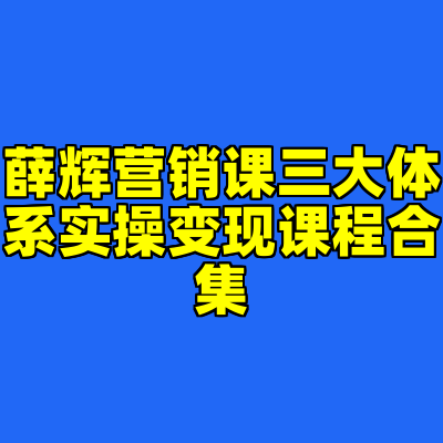 薛辉营销课三大体系实操变现课程合集