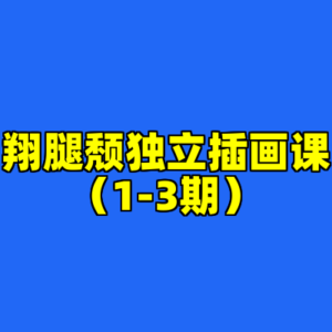翔腿颓独立插画课（1-3期）-cc资源站