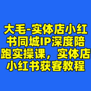 大毛-实体店小红书同城IP深度陪跑实操课，实体店小红书获客教程-cc资源站
