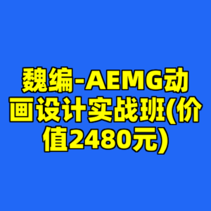 魏编-AEMG动画设计实战班(价值2480元)-cc资源站