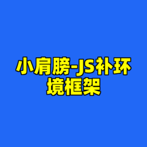 小肩膀-JS补环境框架-cc资源站