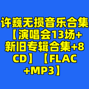 许巍无损音乐合集【演唱会13场+新旧专辑合集+8CD】【FLAC+MP3】-cc资源站