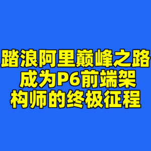 踏浪阿里巅峰之路 成为P6前端架构师的终极征程-cc资源站