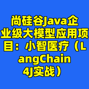 尚硅谷Java企业级大模型应用项目：小智医疗（LangChain4J实战）-cc资源站
