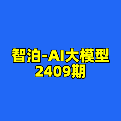 智泊-AI大模型2409期