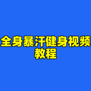 全身暴汗健身视频教程-cc资源站