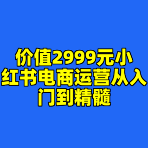 价值2999元小红书电商运营从入门到精髓-cc资源站