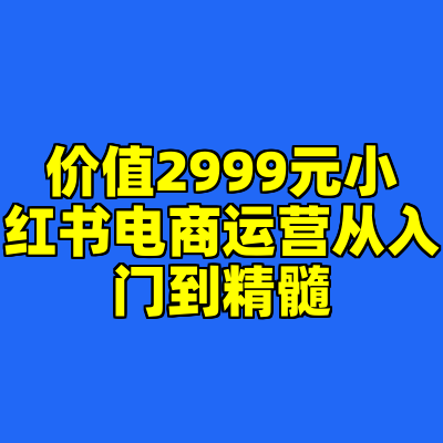 价值2999元小红书电商运营从入门到精髓