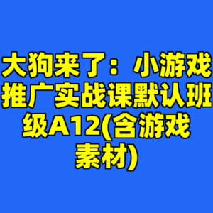 大狗来了:小游戏推广实战课默认班级A12(含游戏素材)-cc资源站