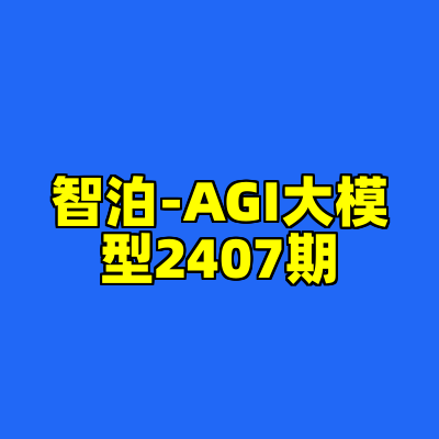 智泊-AGI大模型2407期