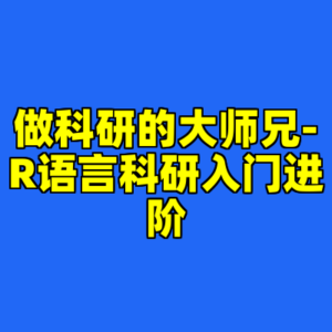 做科研的大师兄-R语言科研入门进阶-cc资源站
