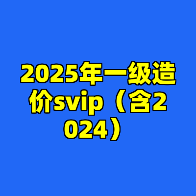 2025年一级造价svip（含2024）