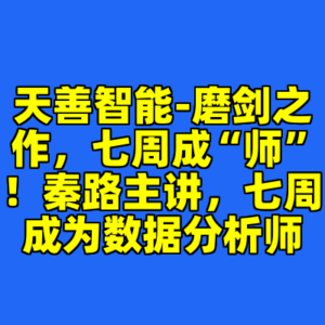 天善智能-磨剑之作,七周成“师”!秦路主讲,七周成为数据分析师-cc资源站