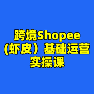 跨境Shopee(虾皮)基础运营实操课-cc资源站