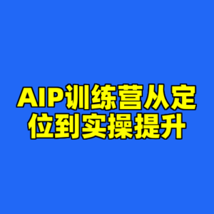 AIP训练营从定位到实操提升-cc资源站