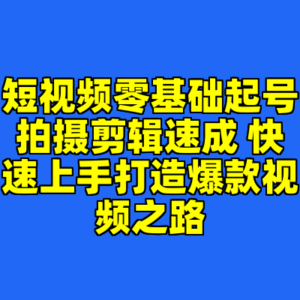 短视频零基础起号拍摄剪辑速成 快速上手打造爆款视频之路-cc资源站