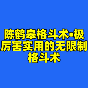 陈鹤皋格斗术•极厉害实用的无限制格斗术-cc资源站