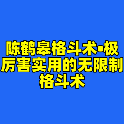 陈鹤皋格斗术•极厉害实用的无限制格斗术