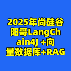 2025年尚硅谷阳哥LangChain4J +向量数据库+RAG-cc资源站