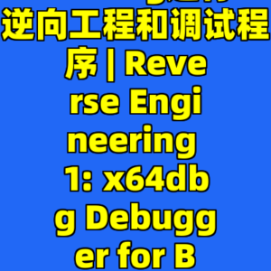 x64dbg进行逆向工程和调试程序 | Reverse Engineering 1: x64dbg Debugger for Beginners-cc资源站