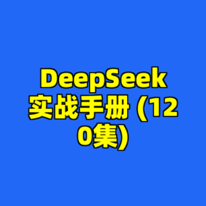DeepSeek实战手册 (120集)-cc资源站