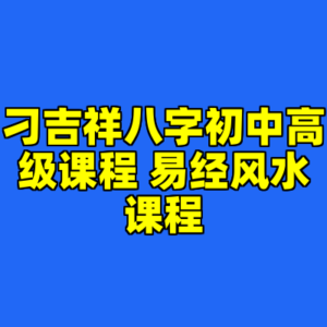 刁吉祥八字初中高级课程 易经风水课程-cc资源站