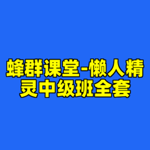 蜂群课堂-懒人精灵中级班全套-cc资源站