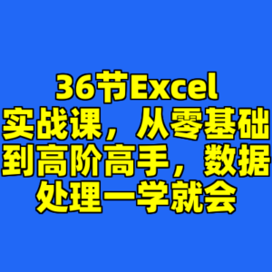 36节Excel实战课,从零基础到高阶高手,数据处理一学就会-cc资源站
