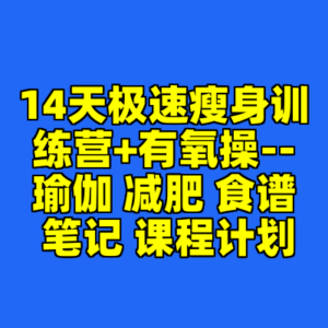 14天极速瘦身训练营+有氧操--瑜伽 减肥 食谱 笔记 课程计划-cc资源站