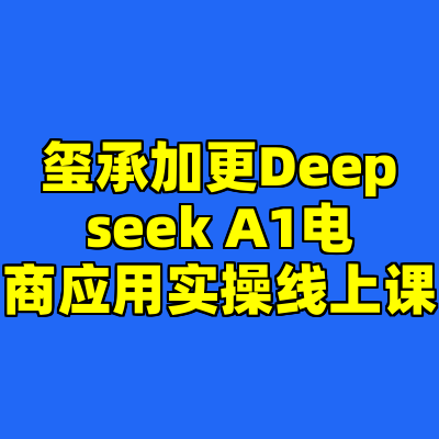 玺承加更Deepseek A1电商应用实操线上课
