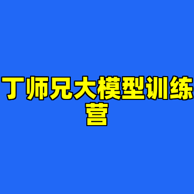 丁师兄大模型训练营