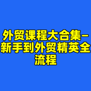 外贸课程大合集—新手到外贸精英全流程-cc资源站