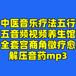 中医音乐疗法五行五音频视频养生馆全套宫商角徵疗愈解压音药mp3-cc资源站