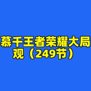 慕千王者荣耀大局观（249节）-cc资源站