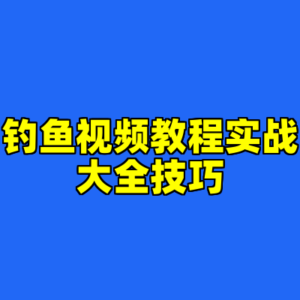 钓鱼视频教程实战大全技巧-cc资源站