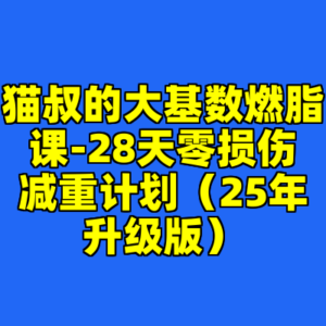 猫叔的大基数燃脂课-28天零损伤减重计划（25年升级版）-cc资源站